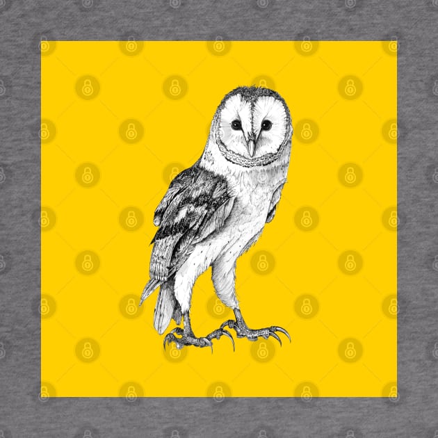 Barn Owl - Drawing In Black Pen On Vintage Yellow by seanfleming